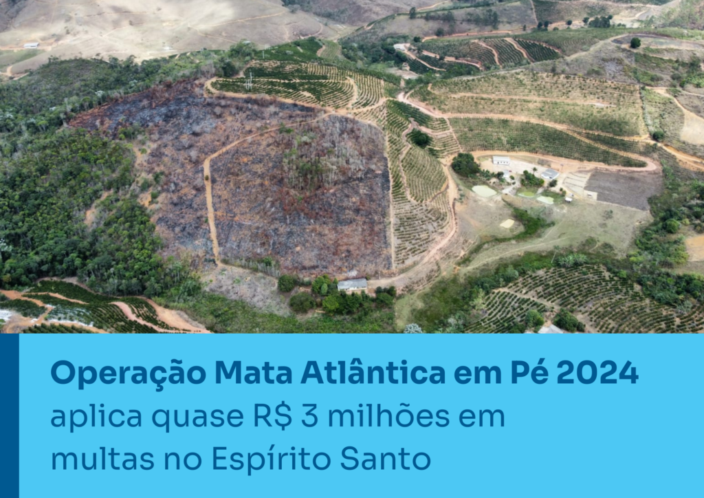 Operacao-Mata-Atlantica-em-Pe-2024-aplica-quase-3-milhoes-de-reais-em-multas-no-Espirito-Santo-2-1024x724