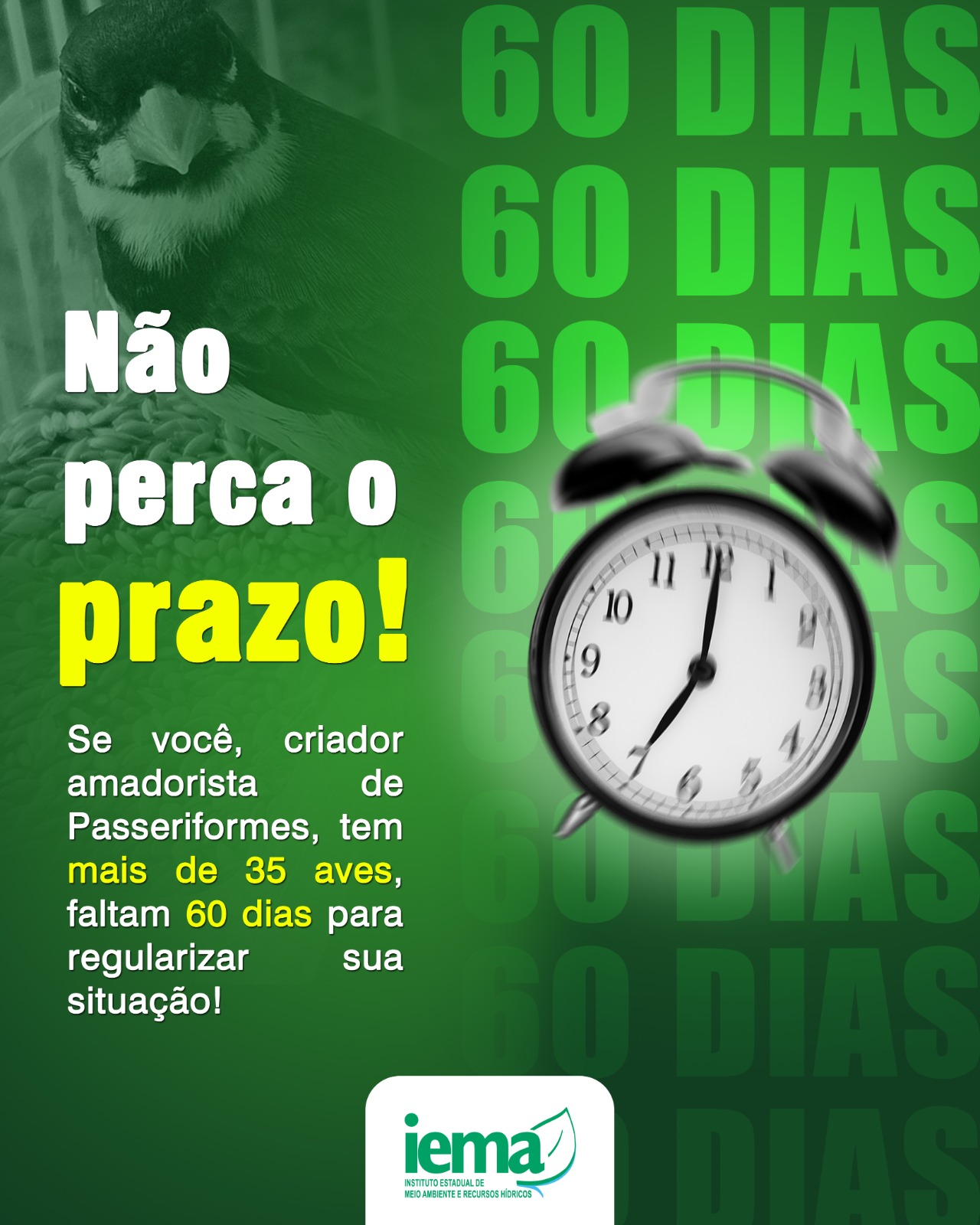 WhatsApp Image 2025-09-04 at 10.30.54