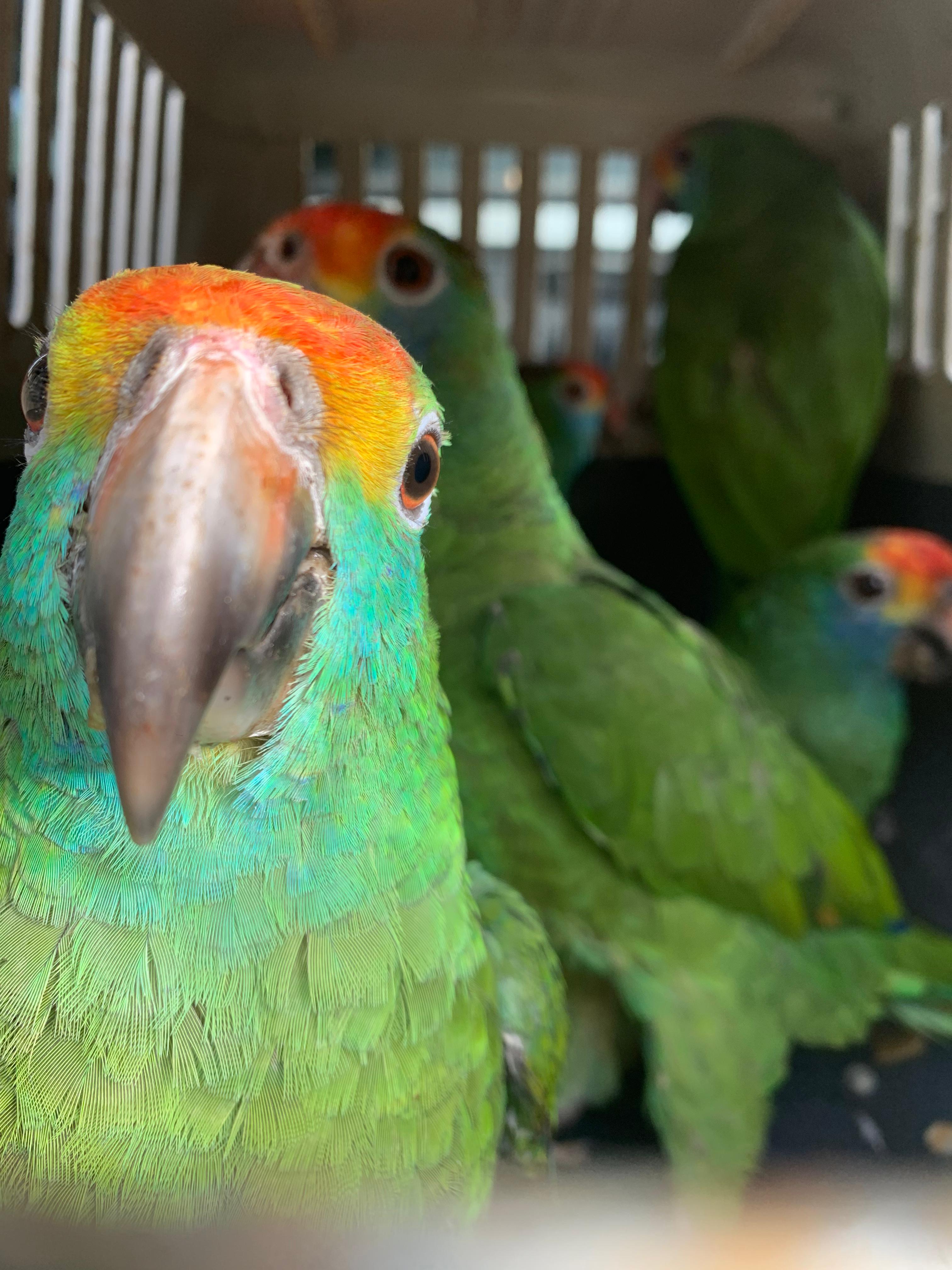 WhatsApp Image 2025-11-21 at 10.47.34