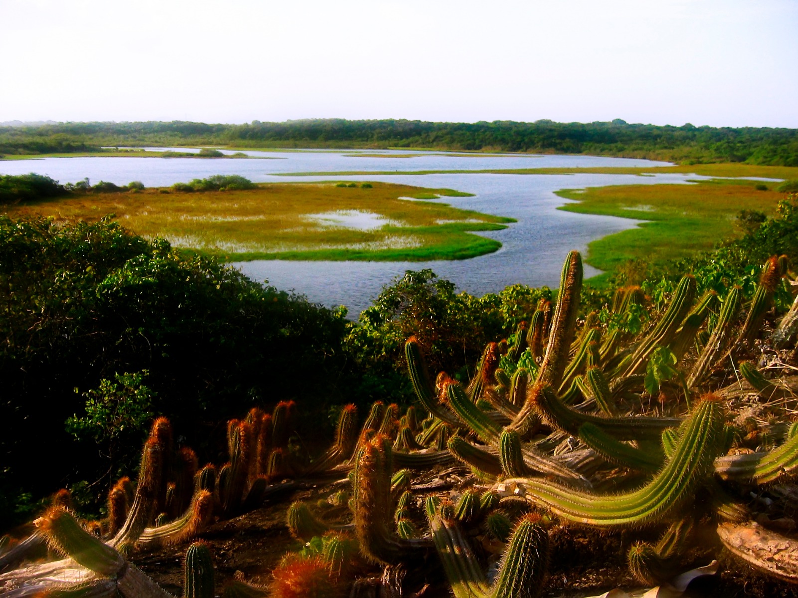 WhatsApp Image 2026-01-29 at 16.01.38