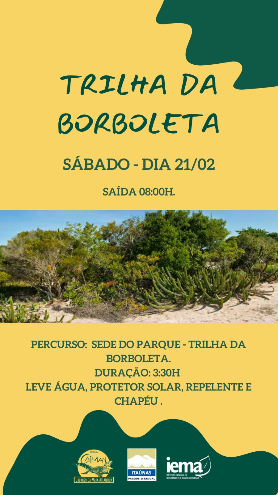 WhatsApp Image 2026-02-10 at 13.50.37