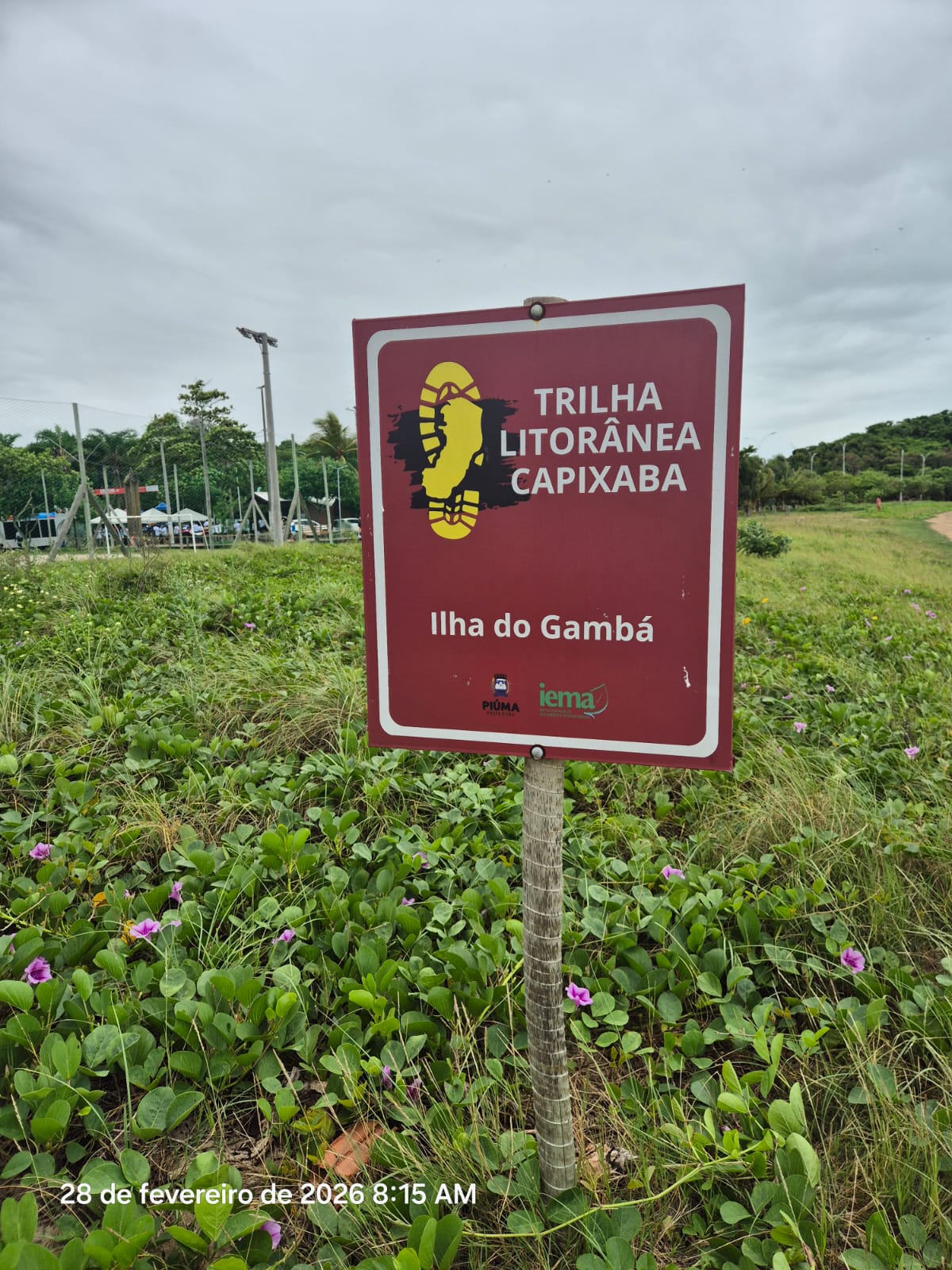 WhatsApp Image 2026-03-02 at 09.10.10