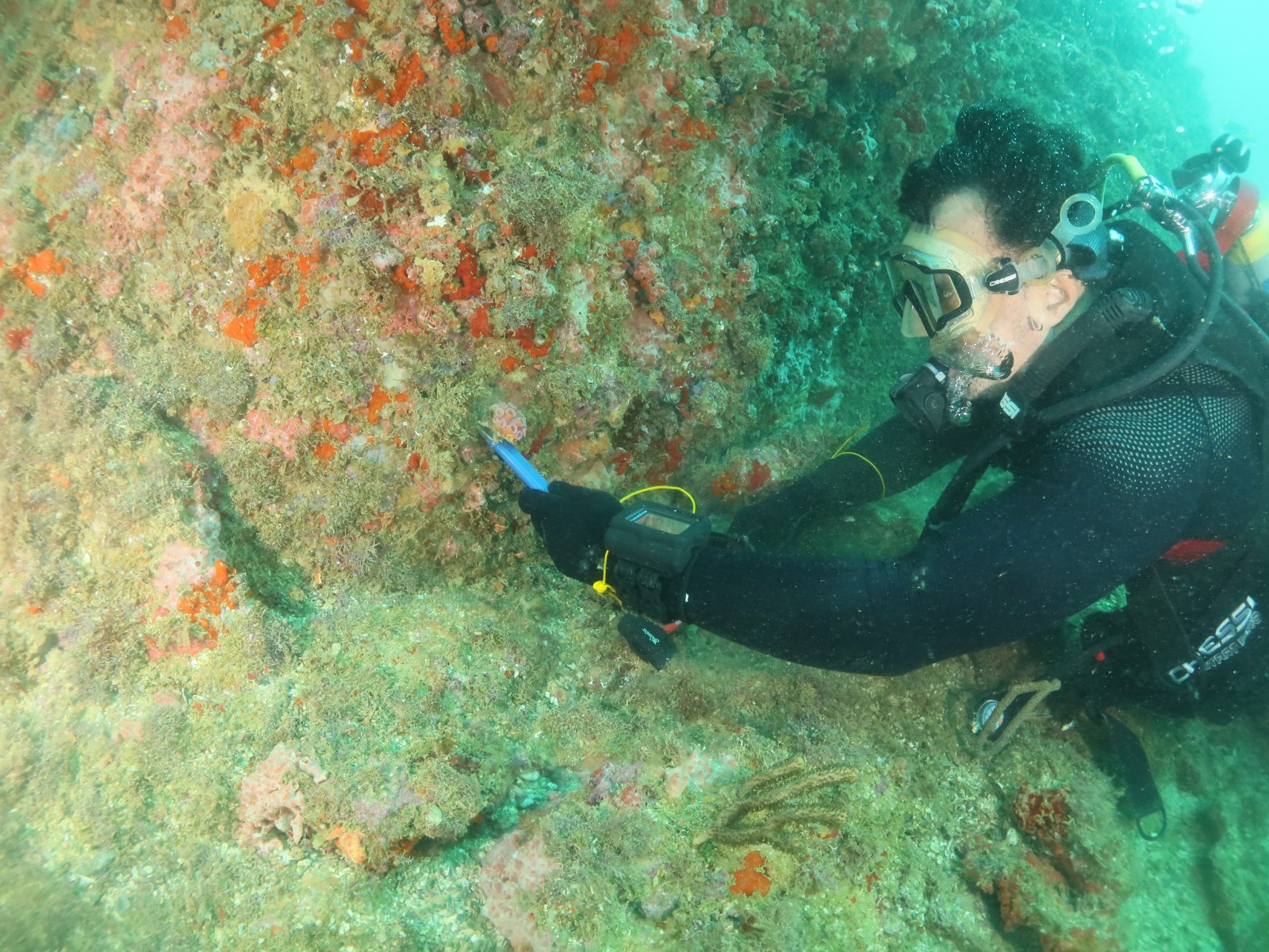 WhatsApp Image 2026-03-27 at 10.03.54