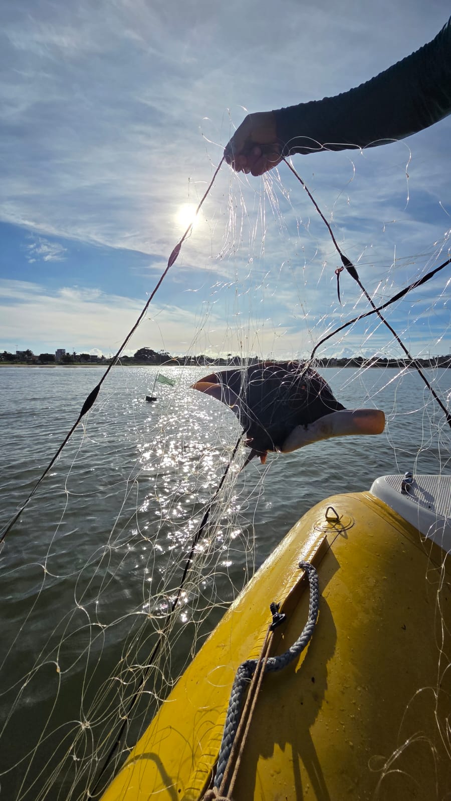 WhatsApp Image 2026-04-06 at 13.46.57