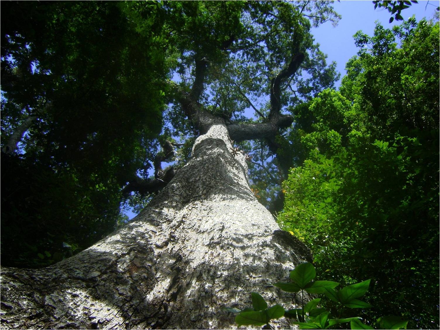 WhatsApp Image 2026-04-09 at 14.34.31