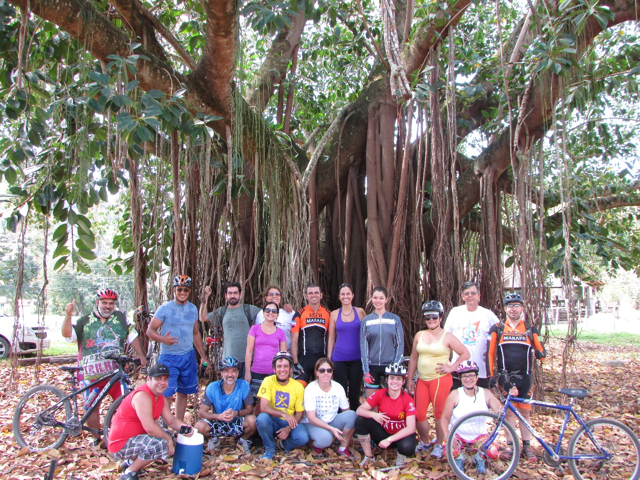 ciclistas