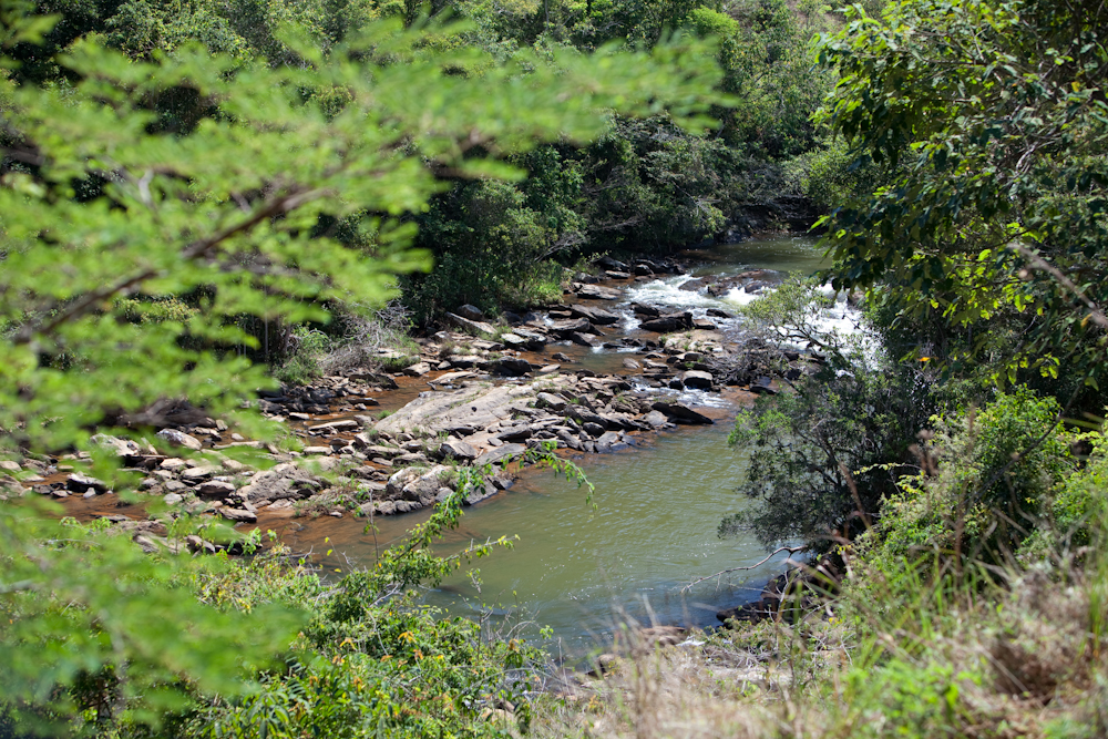 Cach da Fumaça Dia 2 (55)