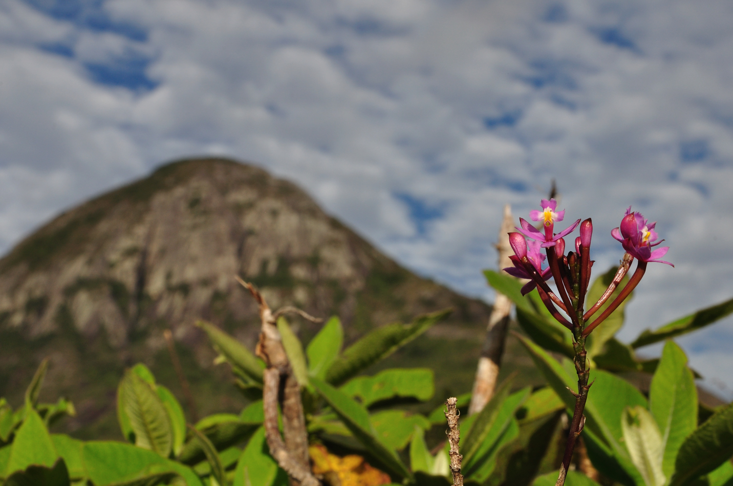 Pico do Forno Grande