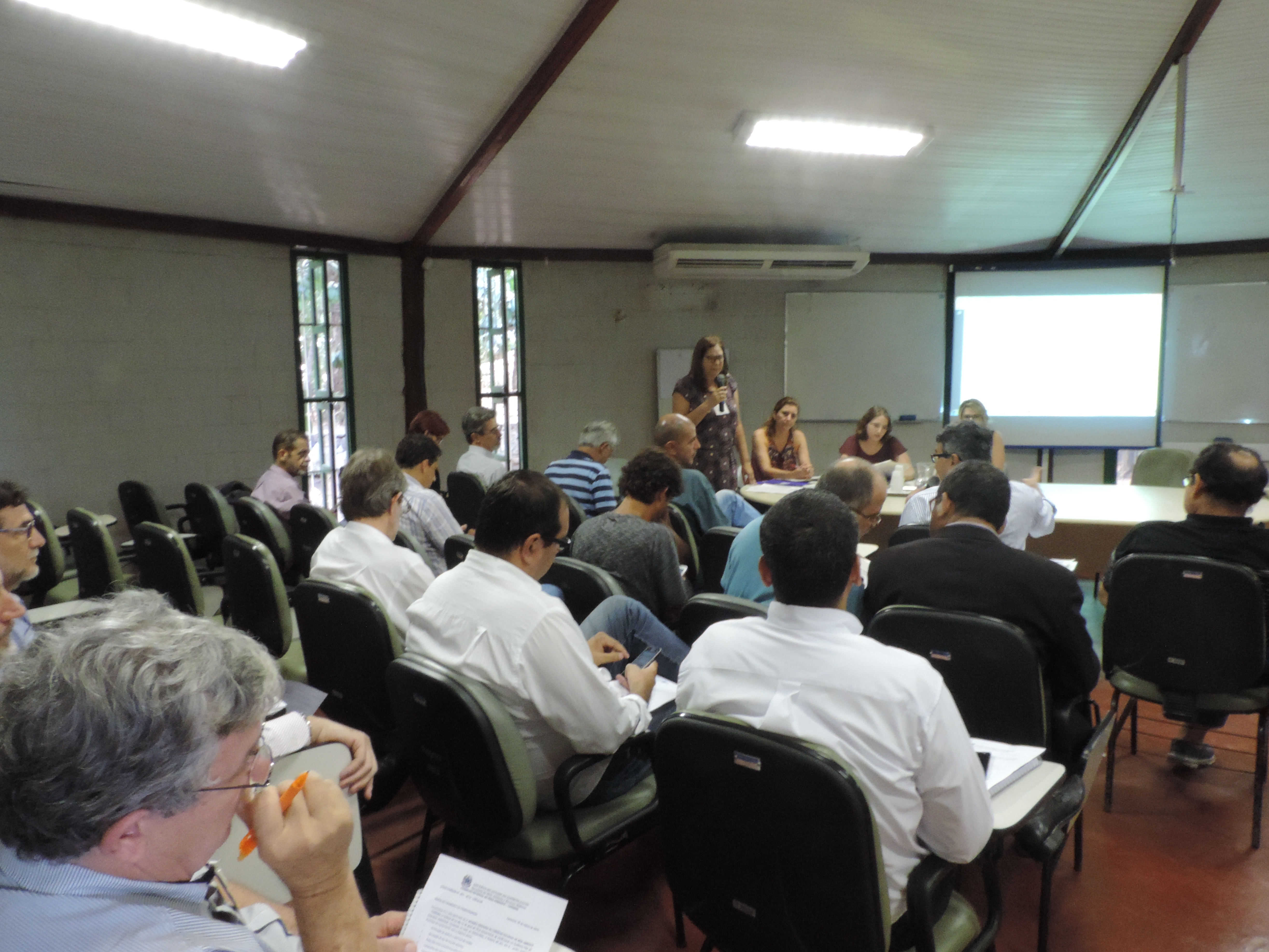 ReuniaoConsema1