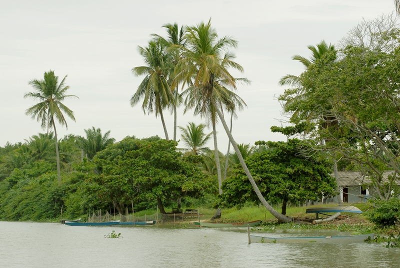apacbarra