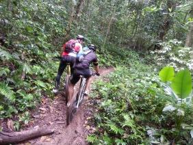 bicicletas31
