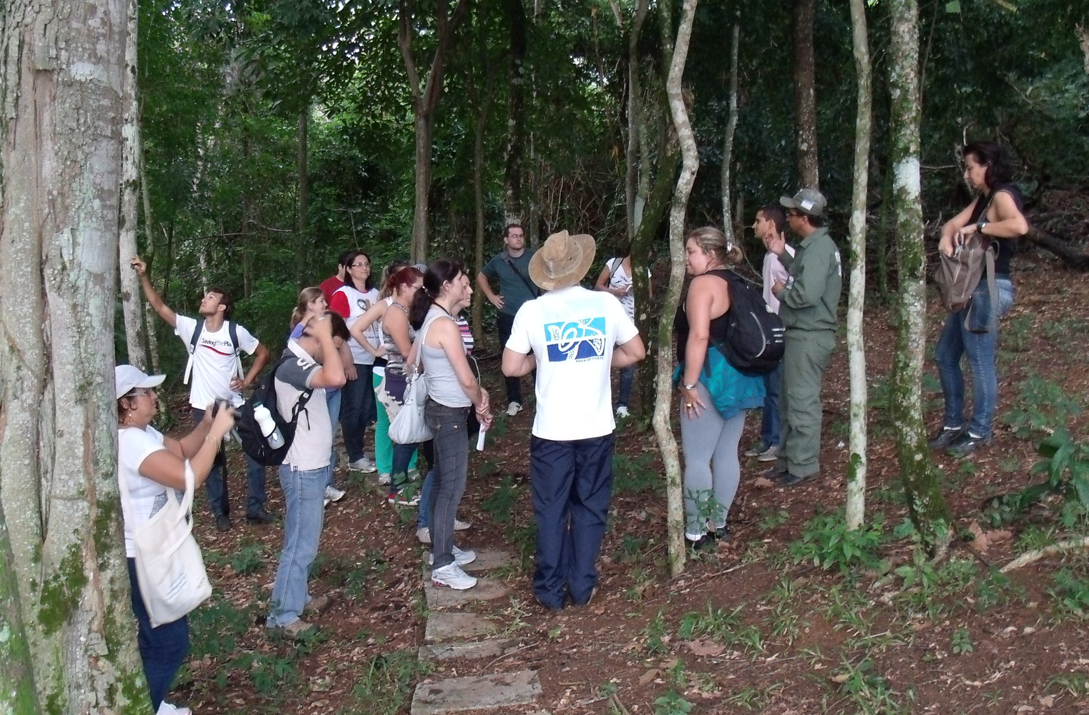 cursocastelo