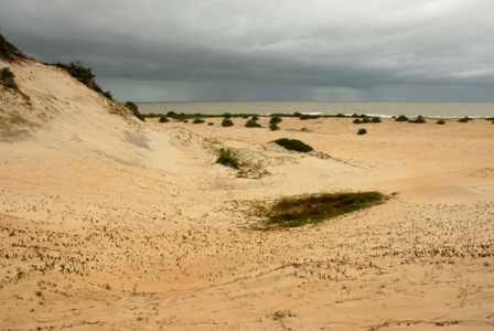 dunas
