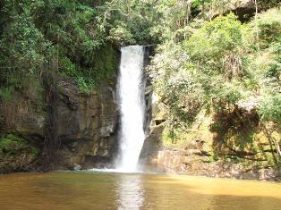 iracema
