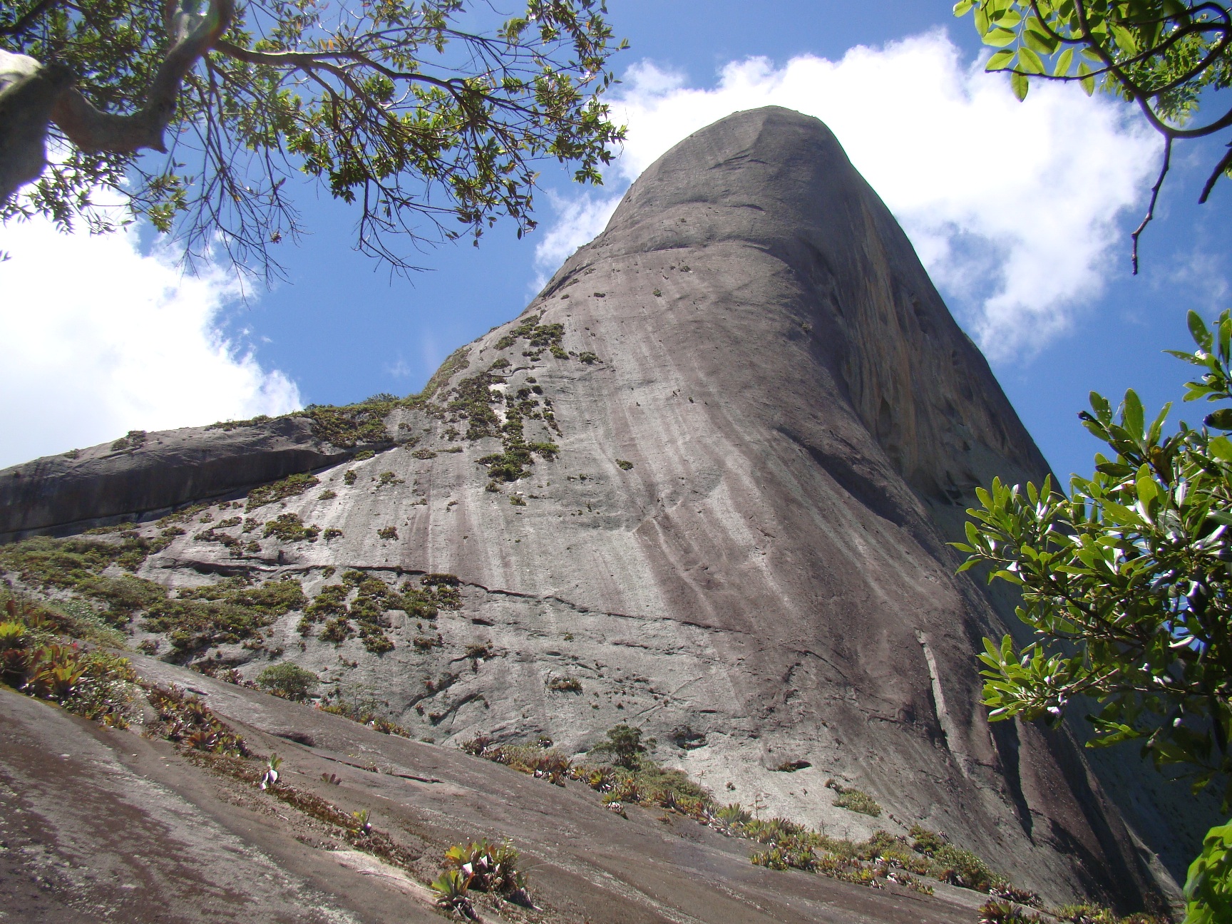 pedra