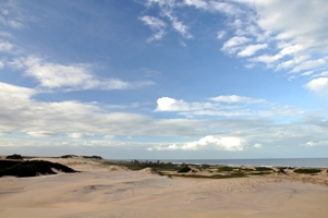 pei_lauro_narciso17