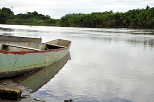 peilauronarciso