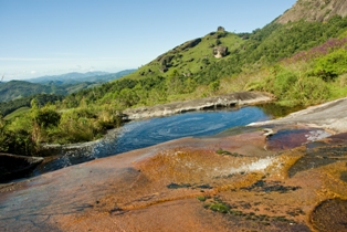 pocosamarelos