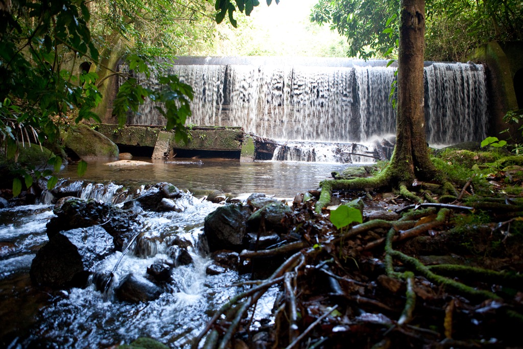 rebio_duasbocas_cacalima
