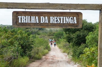 trilha