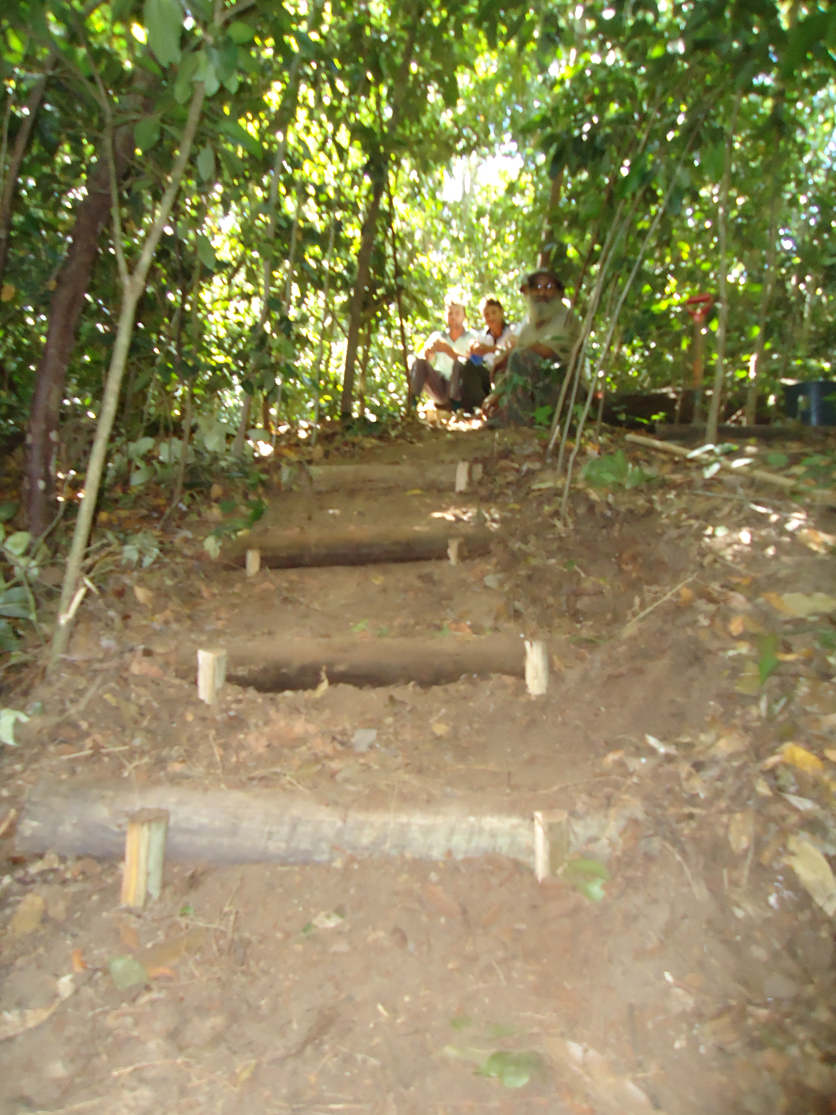 trilha_mata_das_flores