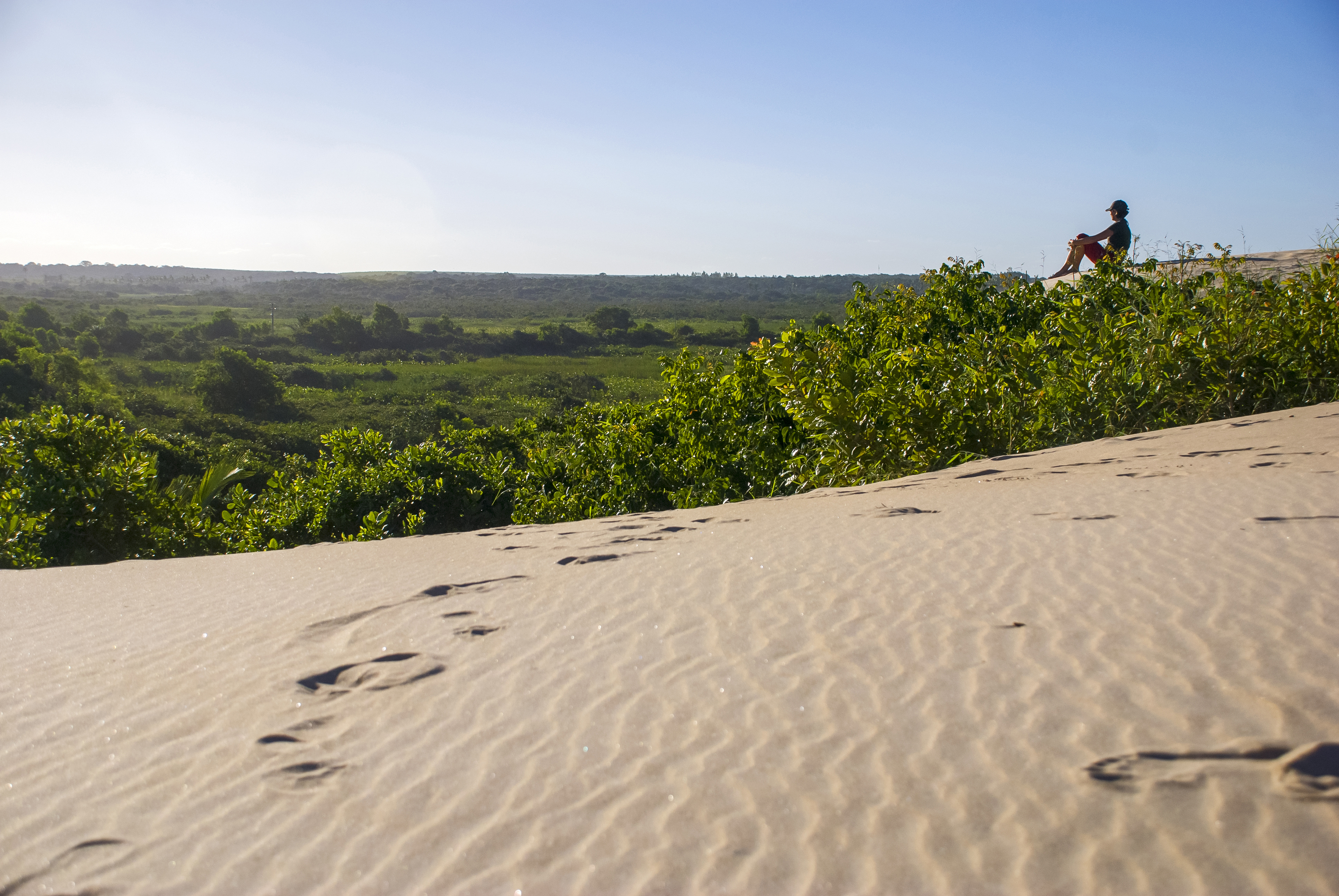 200806010002-Dunas de ItaÃºnas (Paisagem) - Itaunas dunes