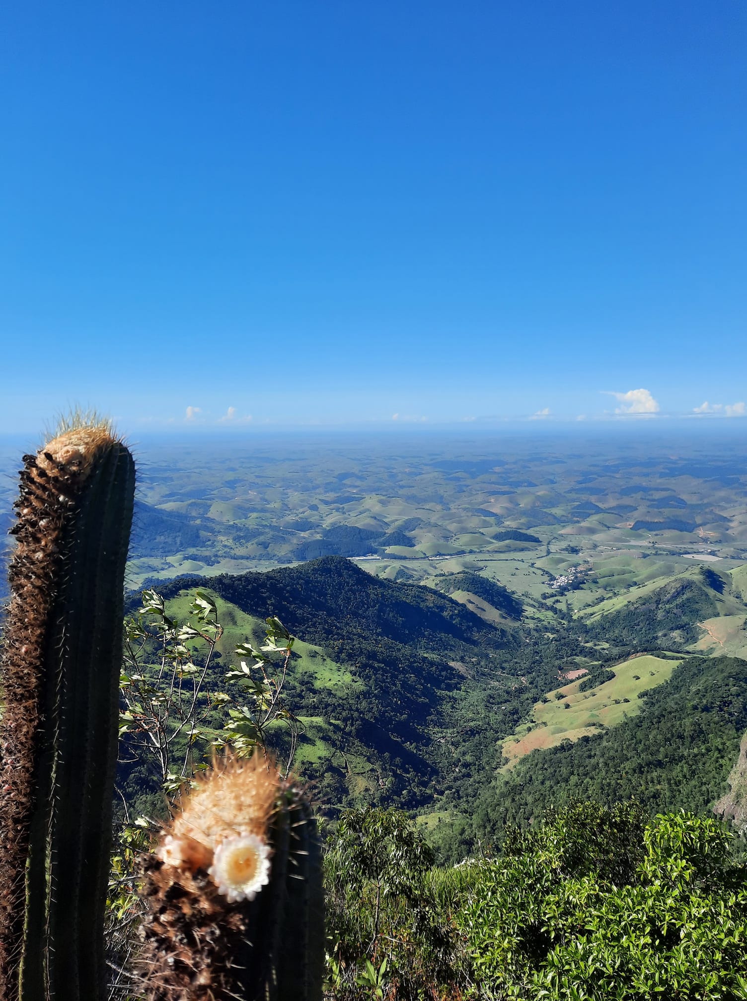 Monasfoto 2021 - Categoria popular - 1 lugar - Maria Madalena Almeida
