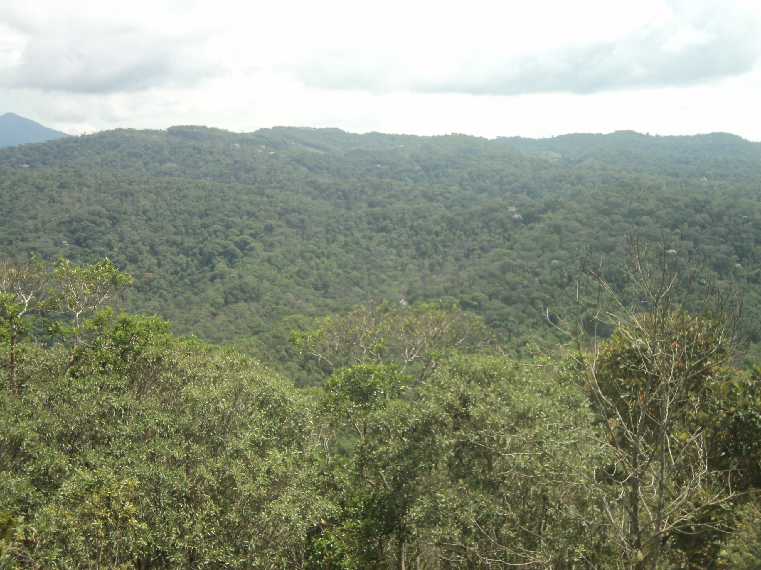 RPPN Aguia Branca 9
