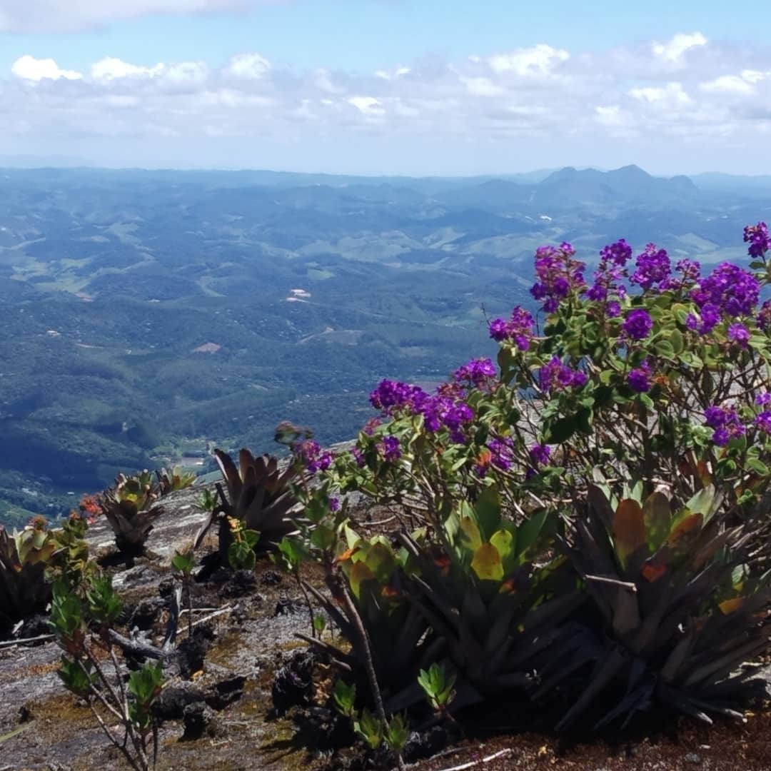Topo da Pedra Azul - Tamires Mutz - Iema
