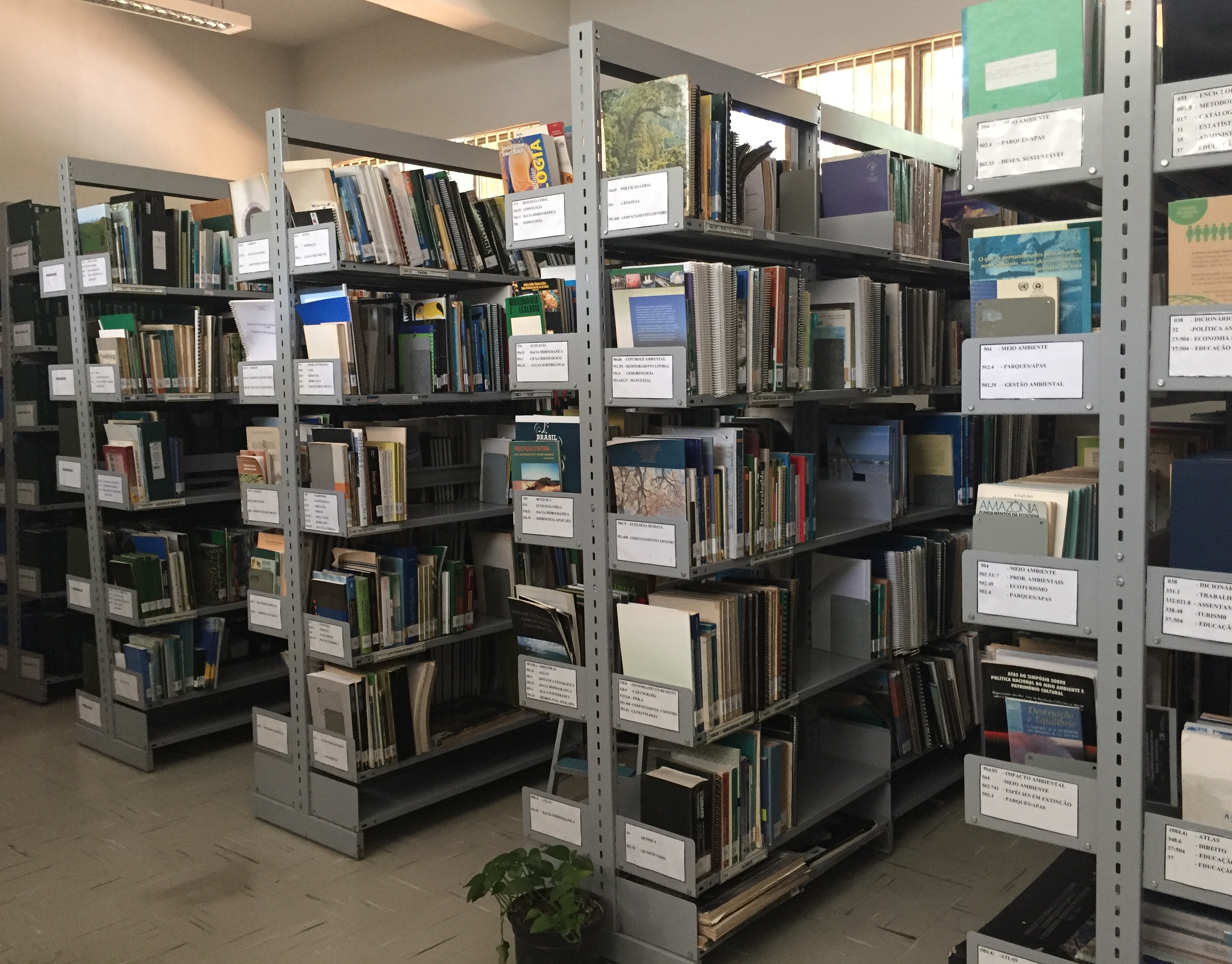 biblioteca