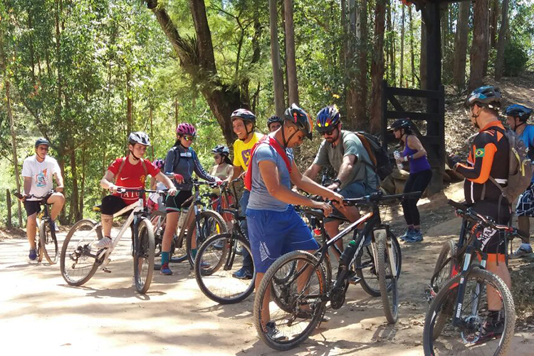 ciclo