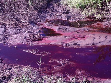 Licenciamento ambiental de áreas contaminadas amplia área de atuação