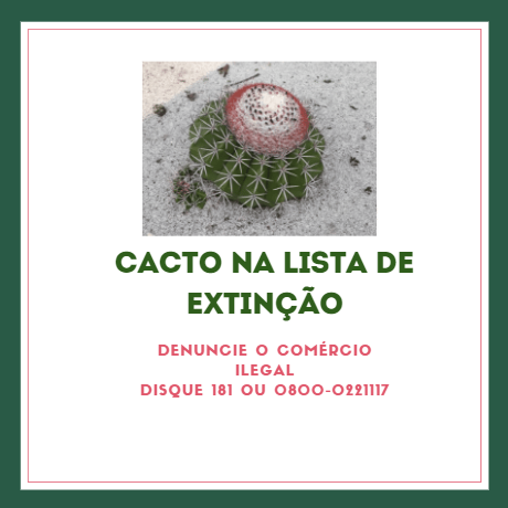 Iema_Cacto na lista de Extinção